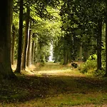 Les Ecuries Du Chateau De Brumare