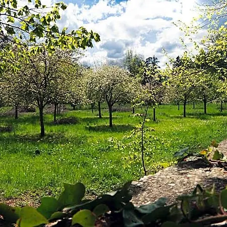 Les Ecuries Du Chateau De Brumare Bed & Breakfast 3*